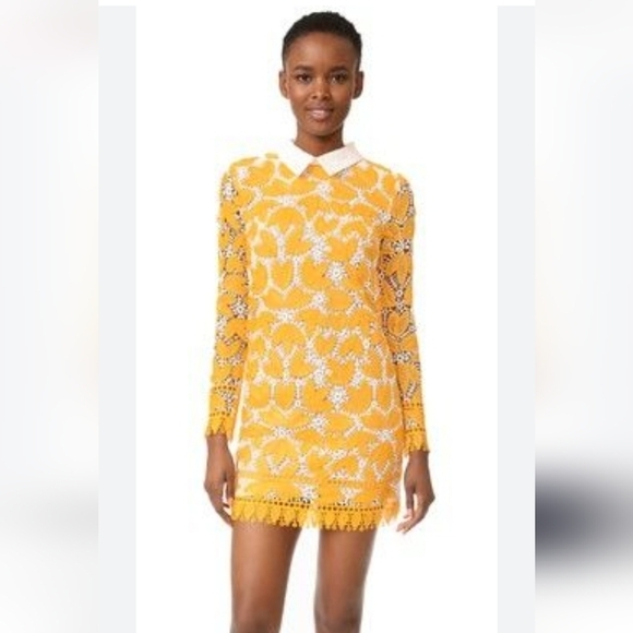 Endless Rose Dresses & Skirts - Endless Rose Long Sleeved Lace Mini Dress Large Collar Crochet Lace Yellow White